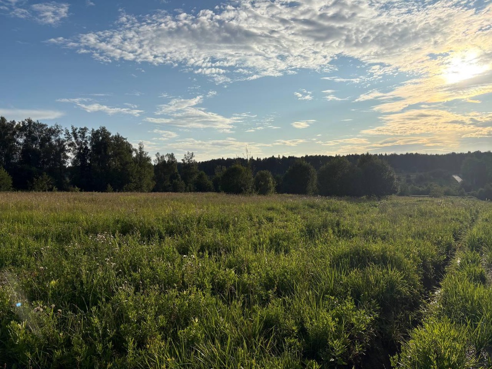 Земельные участки